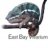 East_Bay_Vivarium