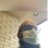 MikeyD0182