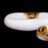 JoeEllisReptiles