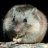 Rodent-Frugality