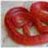 atheris978