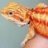 blood-bartagame.de
