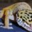 TheHiddenGecko