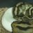 snake8myelbo