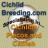 cichlidbreeding.com