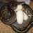 snakemansnakes