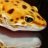 Stephies_Leos