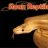 sloanreptiles