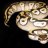 jaysreptiles