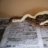 Korielyn's Exotics
