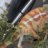 sweetbee870