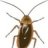 TheBugDepot