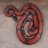 Temporalis_Enterprises