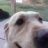joekfromta@juno.com