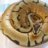 Mike Shaffer Reptiles