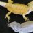 RulingReptiles