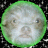 PatrickBull