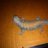 bullsnake5