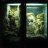 JungleCage