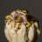 HecticLifeReptiles