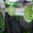 MplsReptiles