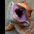 reptileguy12