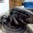 Tegu87