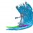 Surfing Geckos