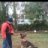 Schutzhundmike