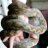 mombareptiles