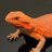 JoshsDragonz
