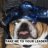 Bulldog3652