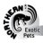 Northern Exotic Pets