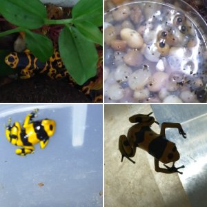 Random leuc photos