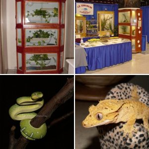 jd_terrariums