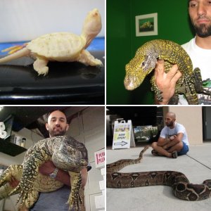 Precision Reptile Labs