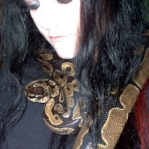 Amy Lee