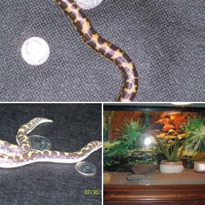 littlefilly25