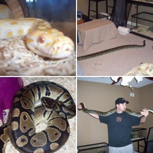 toddhowudoing