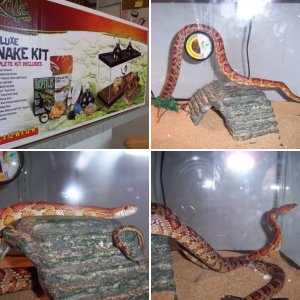 dmg062984