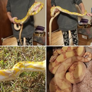 Elfcreekfarm