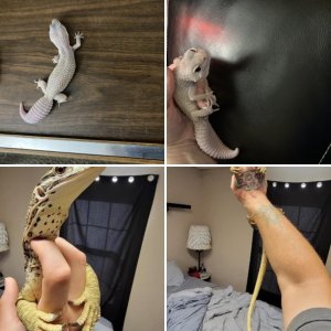 HunterGirl82