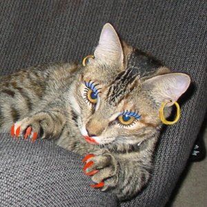 Kiki ~ Dressed for Halloween
