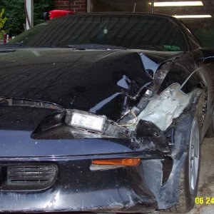 Dont let you snakes drive!!!