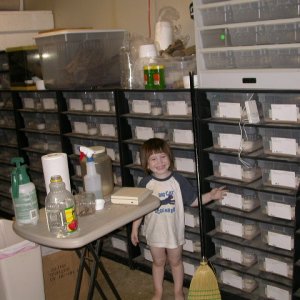 My Little Helper