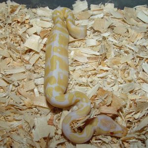 FEEDING TIME #9