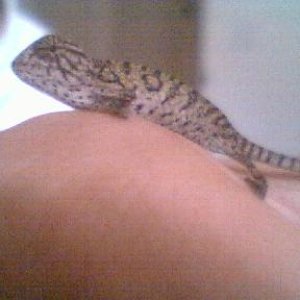 Picture_036