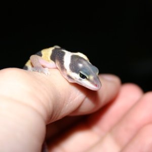 Never stop looking so cute!
