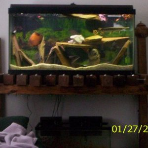 front view with stand