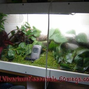 Vivarium for Spear points